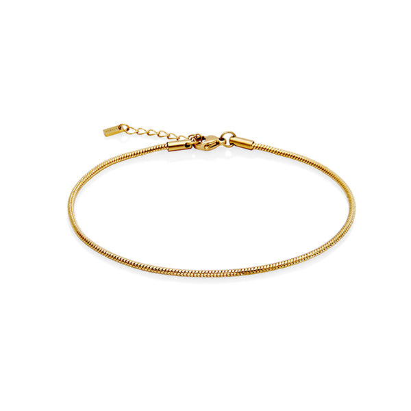 Best Steel Anklet