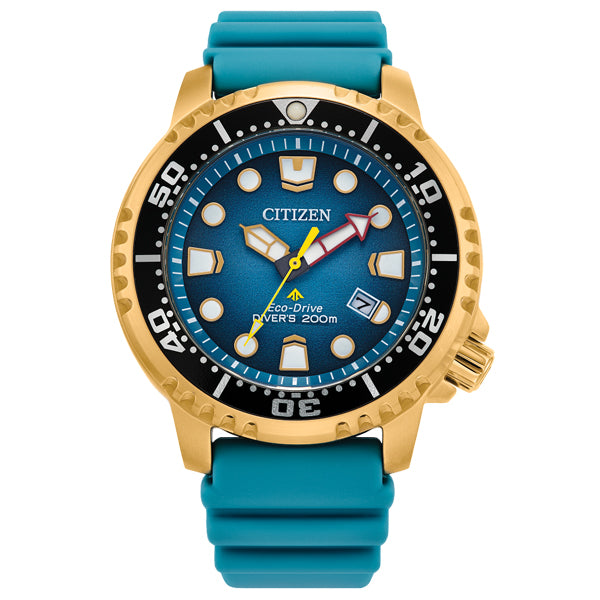 Citizen Luxury Men's Diver Watch