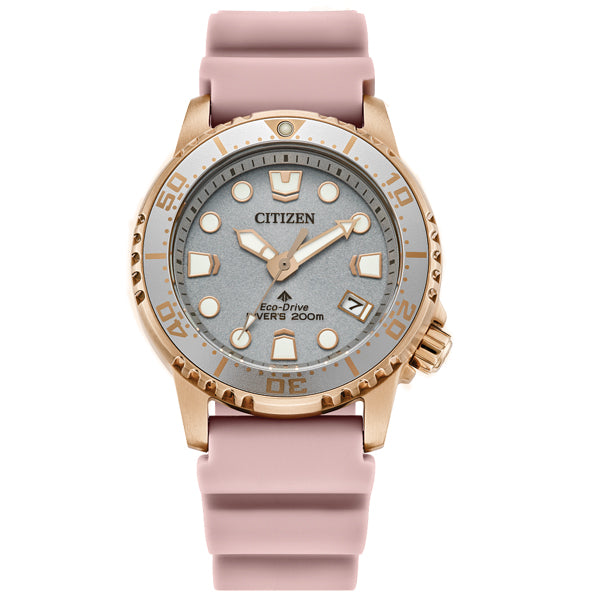 Citizen Luxury Divers Watch