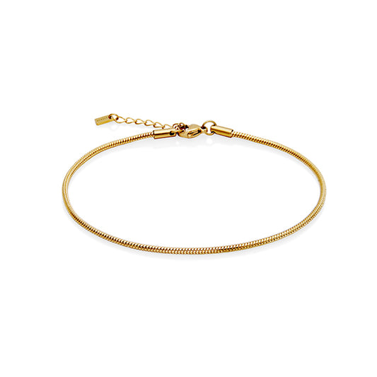 Best Steel Anklet