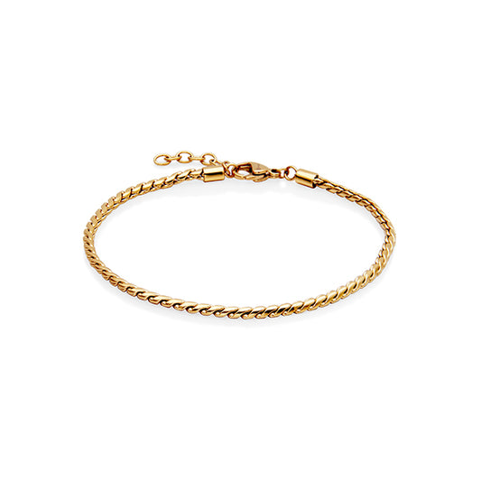 Best Snake Chain Anklet