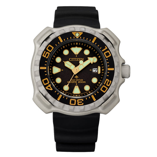 Citizen Luxury Men's Watch