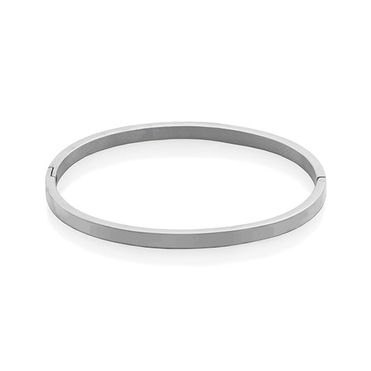 CJ Steelx Bangle with Hinge Closure