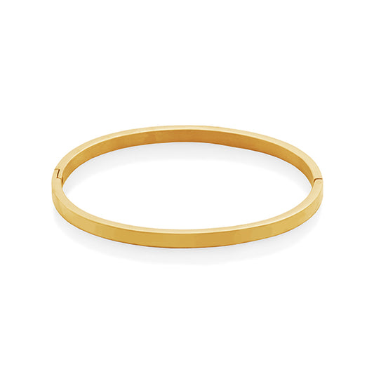 CJ Steelx Bangle with Hinge Closure - Gold