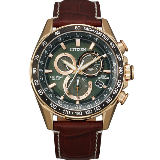 Citizen Luxury Men's Watch