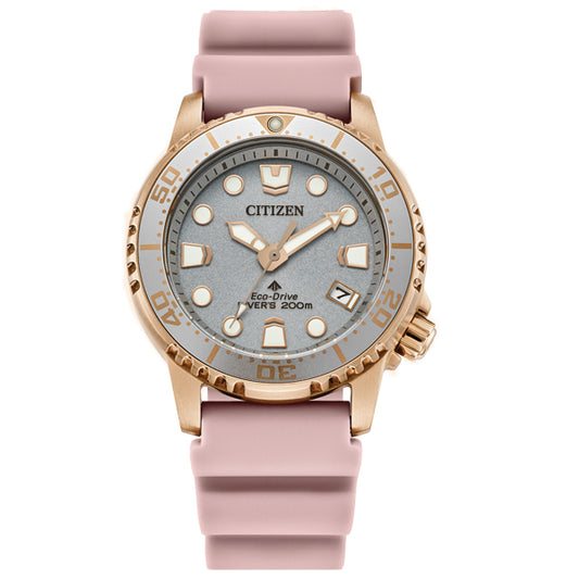 Citizen Luxury Divers Watch