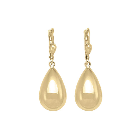 Elegant Gold Drop Earrings