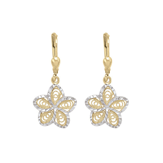 Gold Drop Earrings
